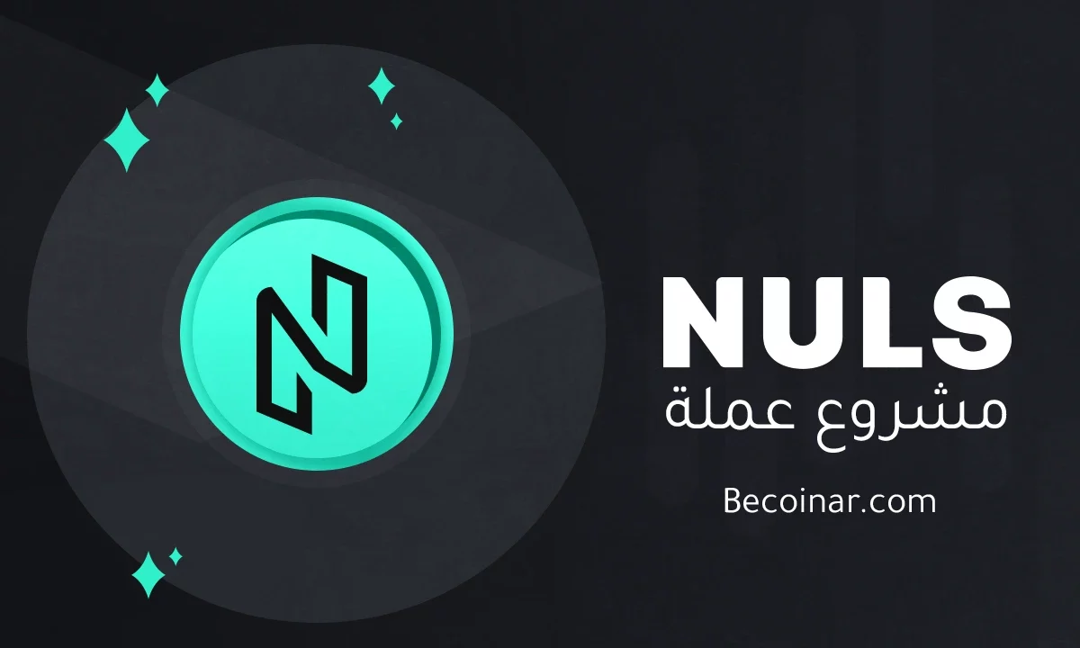 ما هو مشروع عملة Nuls Token/NULS الرقمية؟