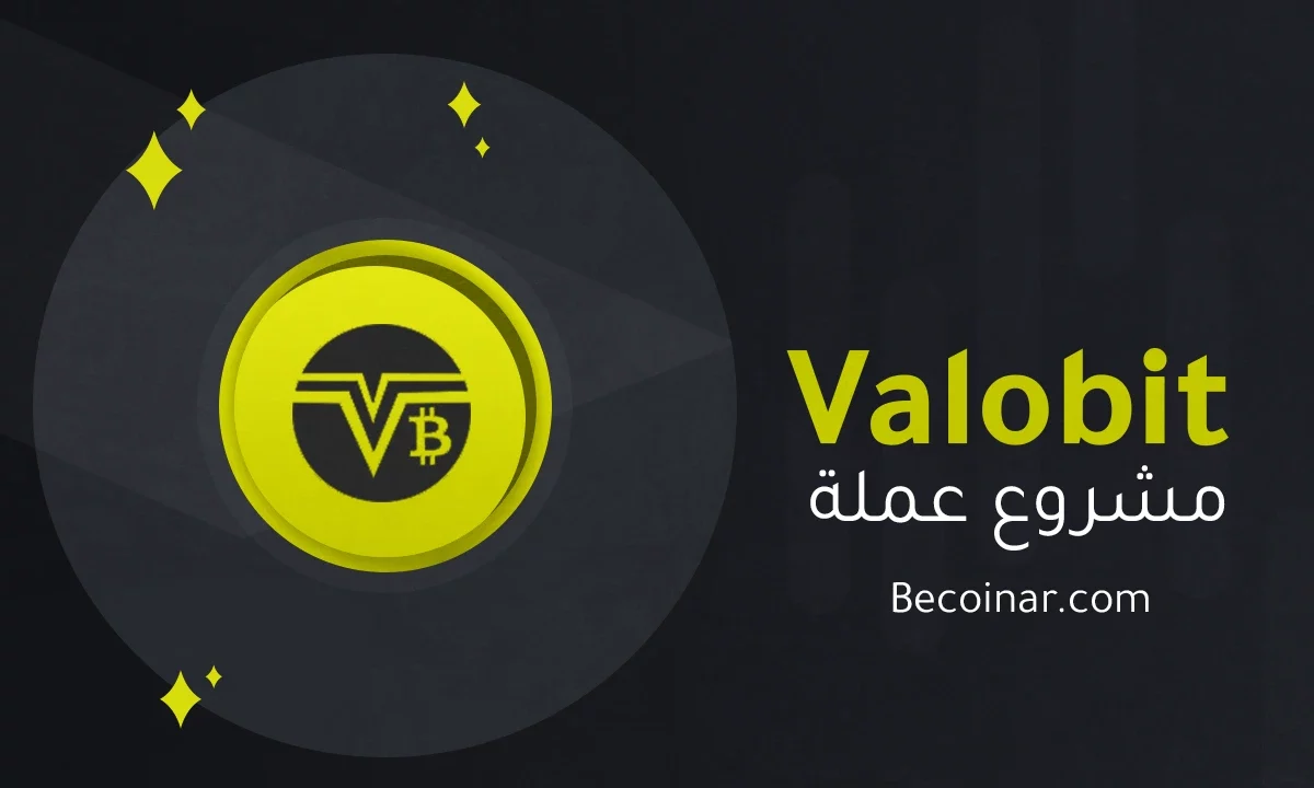 ما هو مشروع عملة Valobit/VBIT الرقمية؟