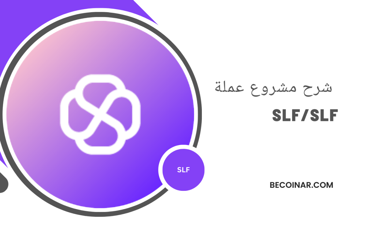 ما هو مشروع عملة SLF؟ كل ما تحتاج معرفته عن slf