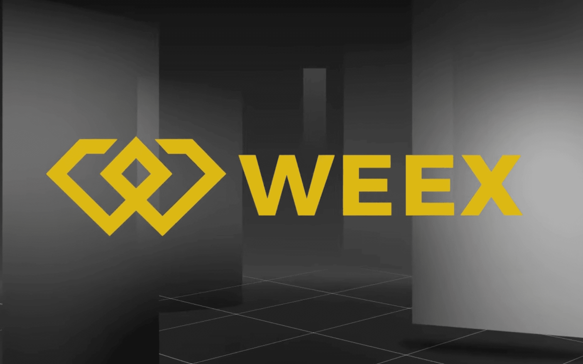 دليلك المفصل والشامل للتداول الفوري على منصة WEEX